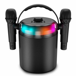 Głośniki Ledwood LD-PLAYKARAOKE