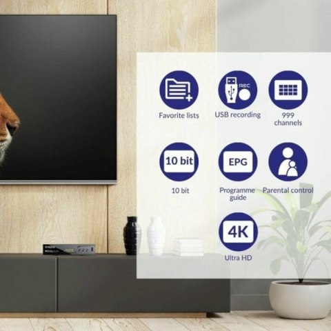 Tuner TDT STRONG SRT 8250