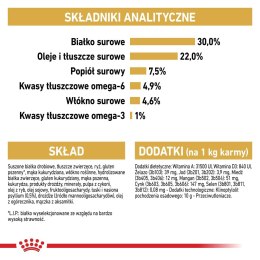 Royal Canin FBN Persian Adult - sucha karma dla kota dorosłego - 4kg