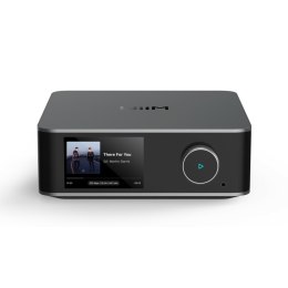 Odbiornik Muzyczny Bezprzewodowy Wiim WIIM ULTRA