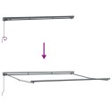 VidaXL Markiza zwijana Antracyt 400 × 300 cm Poliester i Metal