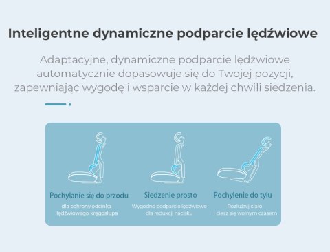 Fotel ergonomiczny ANGEL biurowy obrotowy Dakota 2.0 Grafitowy
