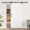 VidaXL Drzwi przesuwne ORKDAL Biały 93 x 202 cm Lite drewno sosnowe