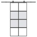 Drzwi przesuwne z osprzętem, 102,5x205 cm, szkło i aluminium