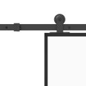 Drzwi przesuwne z osprzętem, 102,5x205 cm, szkło i aluminium