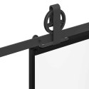 Drzwi przesuwne z osprzętem, 102x205 cm, szkło ESG i aluminium