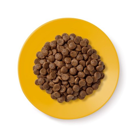 Applaws Cat Dry Senior Chicken 2kg