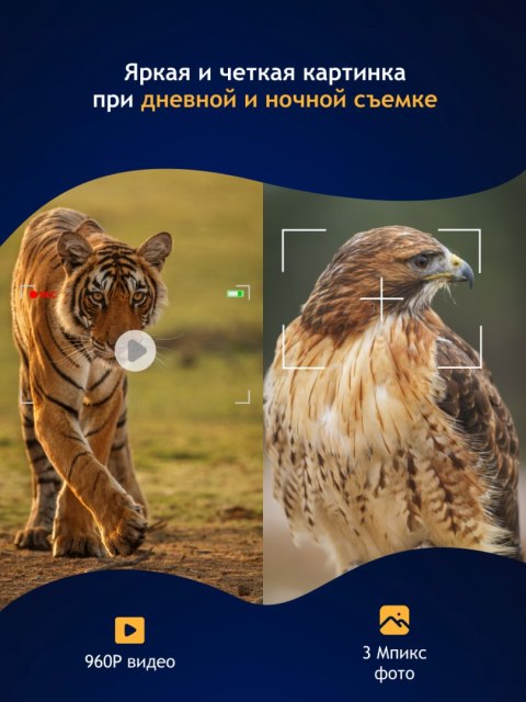 Cyfrowa lornetka noktowizyjna Levenhuk Halo 13X Wi-Fi