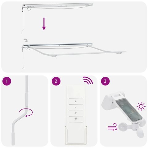 Automatyczna markiza z LED, antracytowo-biała, 300x250 cm