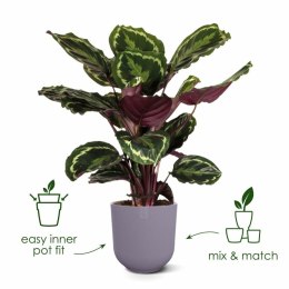 Doniczka Elho Jazz Biały Liliowy Plastikowy Okrągły 3 Części