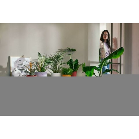 Doniczka Elho Jazz Biały Liliowy Plastikowy Okrągły 3 Części