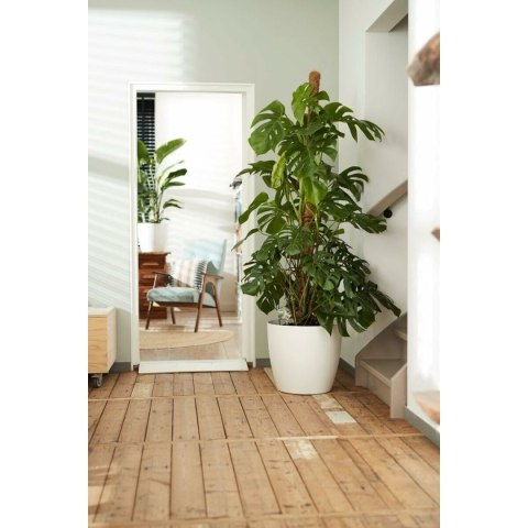 Zestaw garnków Elho Biały Plastikowy Okrągły 2 Części