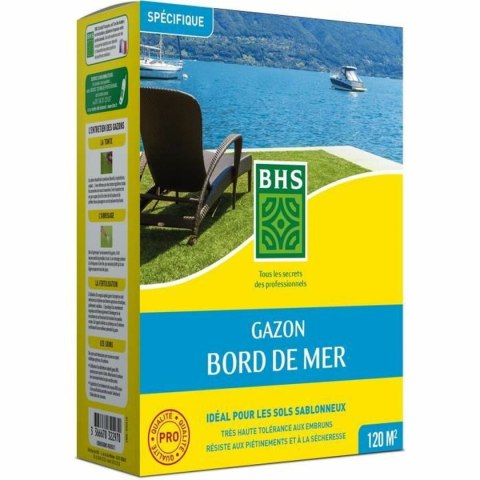 Nasiona BHS Bord de Mer