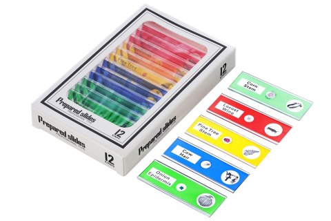 Mikroskop cyfrowy Levenhuk Rainbow DM700 LCD