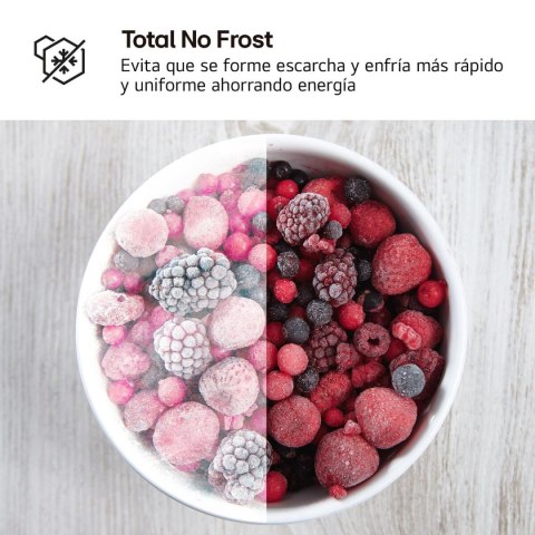 Lodówka kombinowana LG GTBV22SWNJ Biały