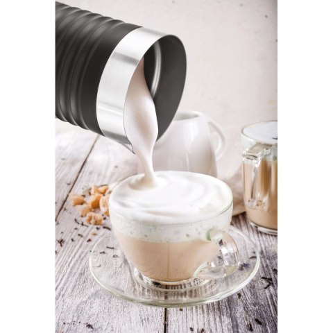 Spieniacz do mleka UFESA 71606200 Stal