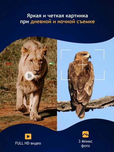 Cyfrowa lornetka noktowizyjna Levenhuk Halo 13X