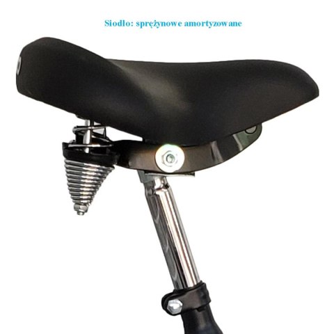 ROWER 3-KOŁOWY 24 CALI CZARNY 1-biegowy