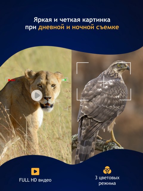 Cyfrowa lornetka noktowizyjna Levenhuk Halo NVB10 Helmet