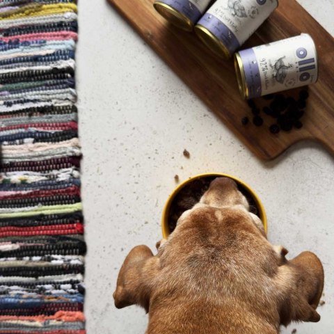 Ollo Umami Kaczka i Indyk 850g