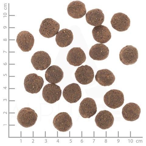 WOLFSBLUT VETLINE HYPOALLERGENIC 12KG (WYPRZEDAŻ)