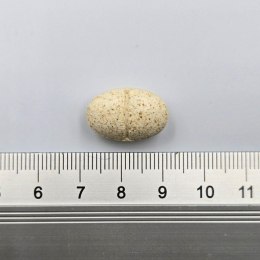 Game Dog AniFlexi MARINE V2 80 kapsułek