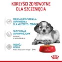 Karma ROYAL CANIN SHN Medium Puppy w sosie 10X140G