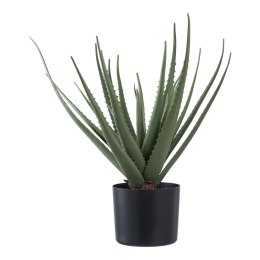 Sztuczna roślina Aloes 51cm