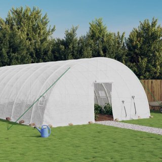 Szklarnia ze stalową ramą, biała, 48 m², 8x6x2,85 m