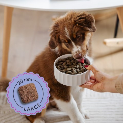ADDVENA BOOSTED BY SUPERFOODS dla szczeniąt średnich i dużych ras 2,5kg