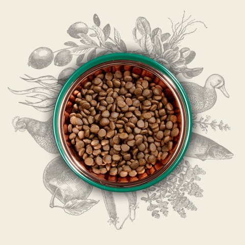 Eden Original Cousine 10kg (WYPRZEDAŻ)