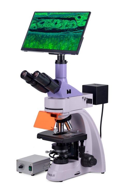 Mikroskop fluorescencyjny cyfrowy MAGUS Lum D400L LCD