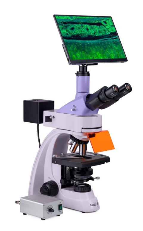 Mikroskop fluorescencyjny cyfrowy MAGUS Lum D400L LCD